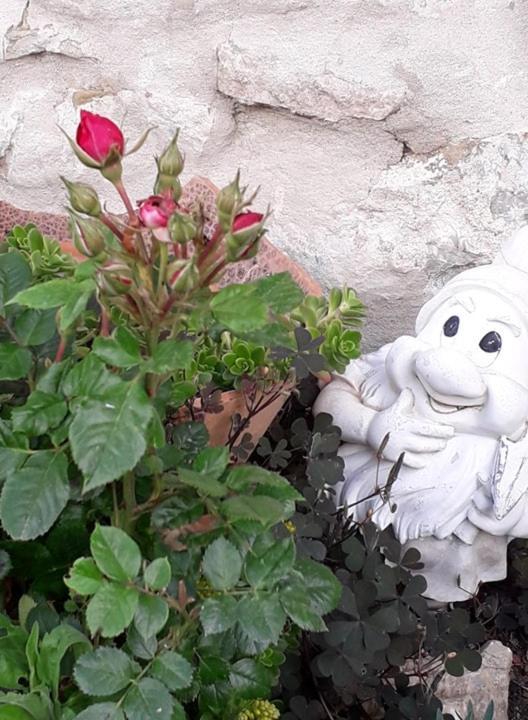 Castiglione dʼOrcia Agriturismo Grossola מראה חיצוני תמונה