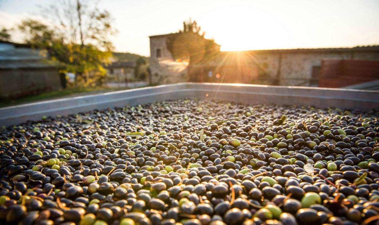 Castiglione dʼOrcia Agriturismo Grossola מראה חיצוני תמונה
